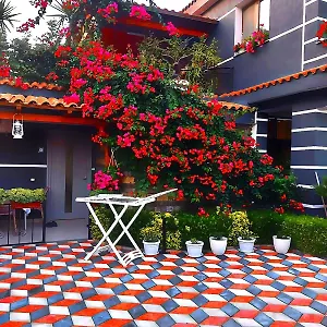 https://villa-heljos-apartaments.albaniahotels.org